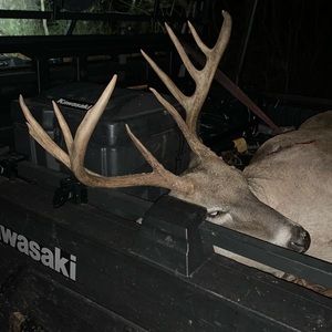 Meet your Posher, Brent